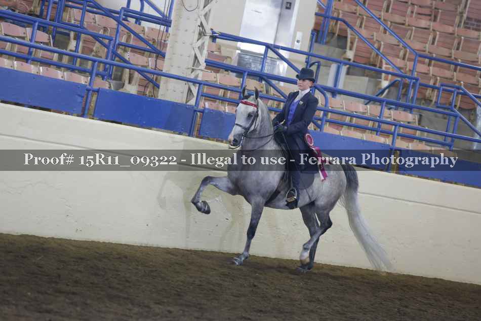 Proof Number 15R11_09322