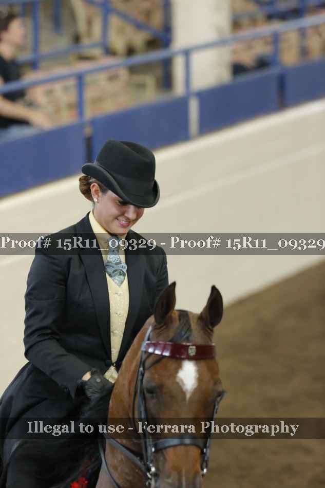 Proof Number 15R11_09329
