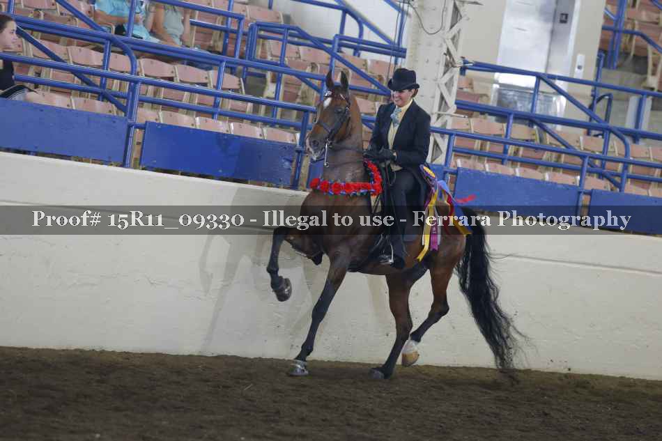 Proof Number 15R11_09330