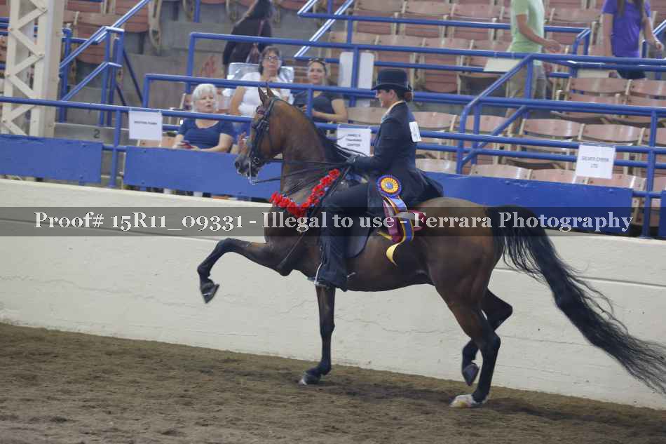 Proof Number 15R11_09331