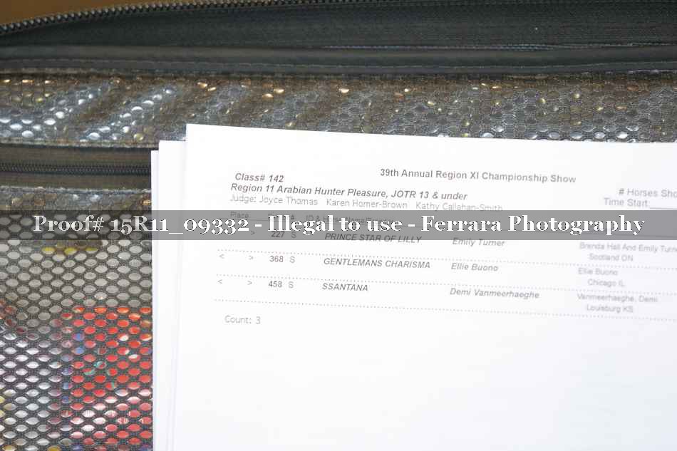 Proof Number 15R11_09332