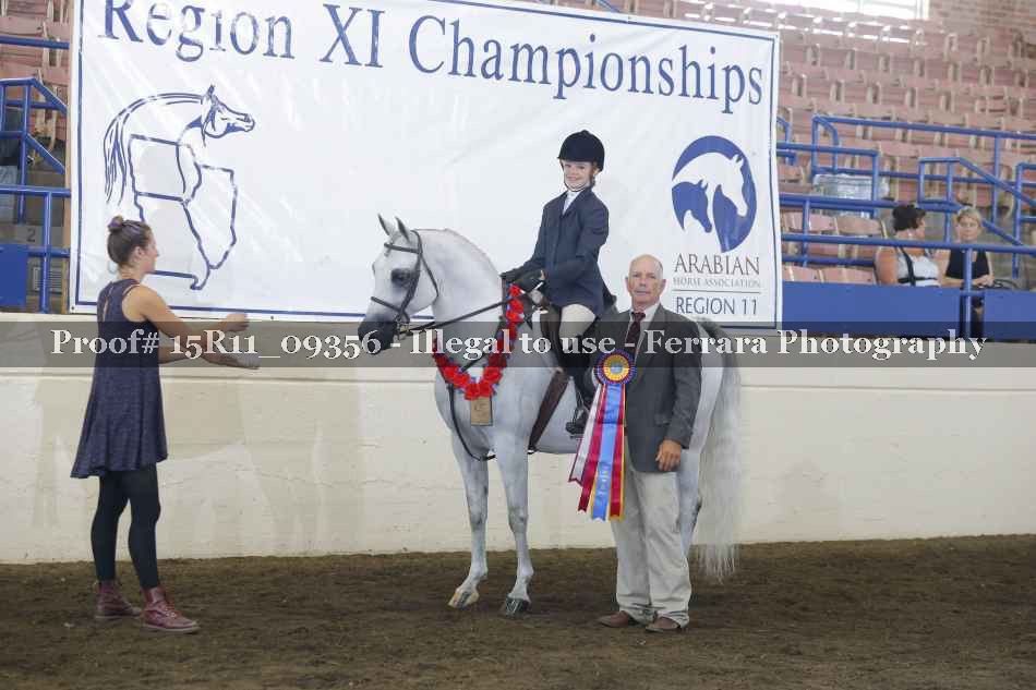 Proof Number 15R11_09356