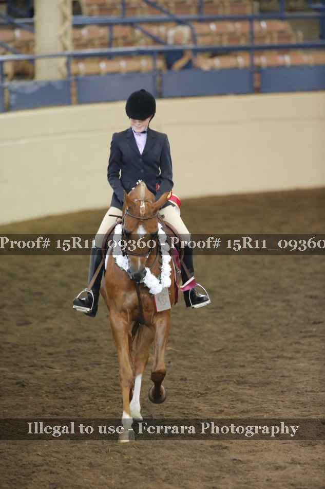 Proof Number 15R11_09360