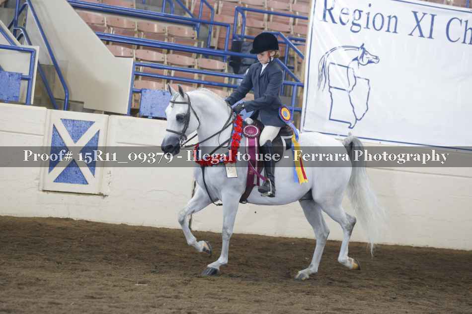 Proof Number 15R11_09379
