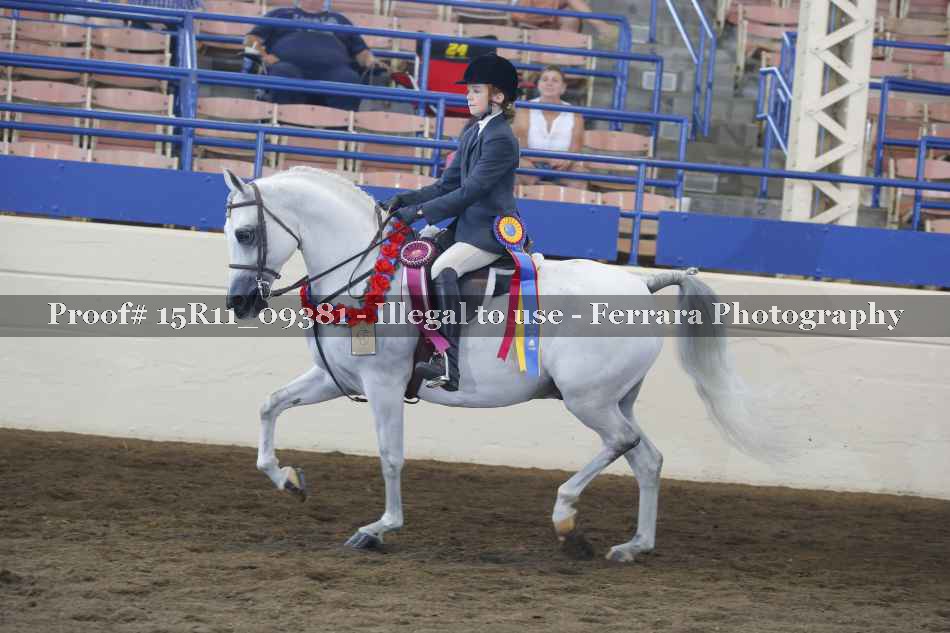 Proof Number 15R11_09381
