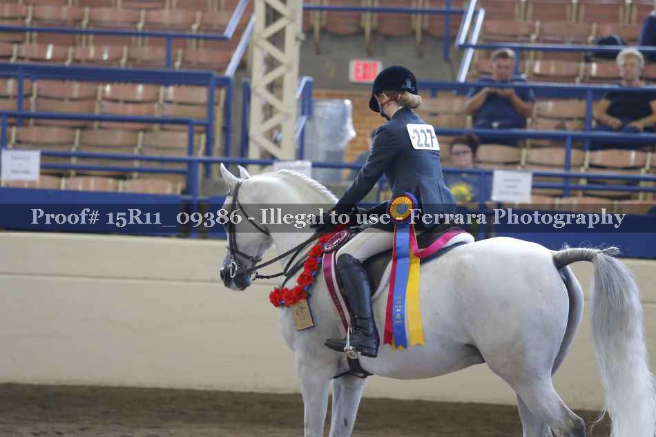 Proof Number 15R11_09386