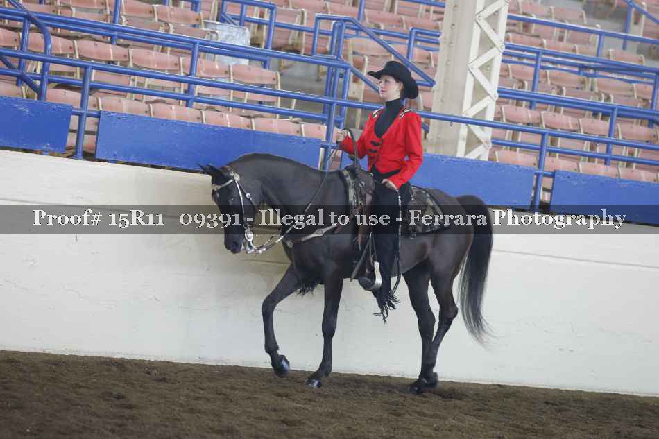 Proof Number 15R11_09391