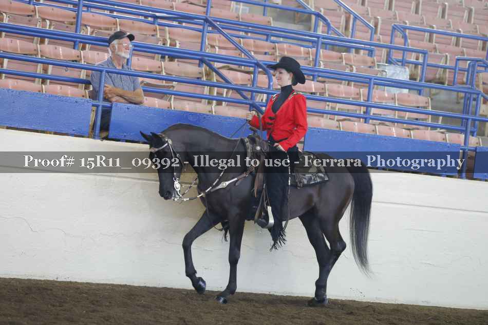 Proof Number 15R11_09392