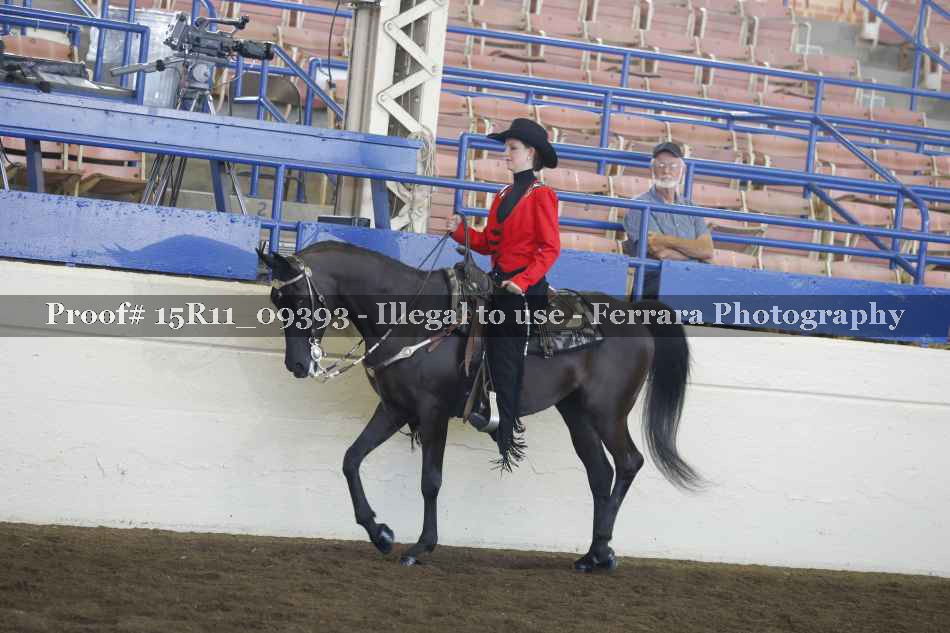 Proof Number 15R11_09393