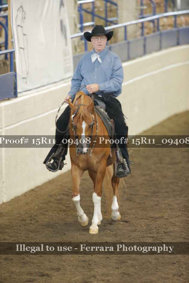 Proof Number 15R11_09408