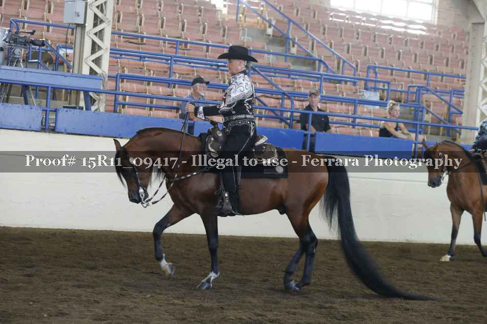 Proof Number 15R11_09417
