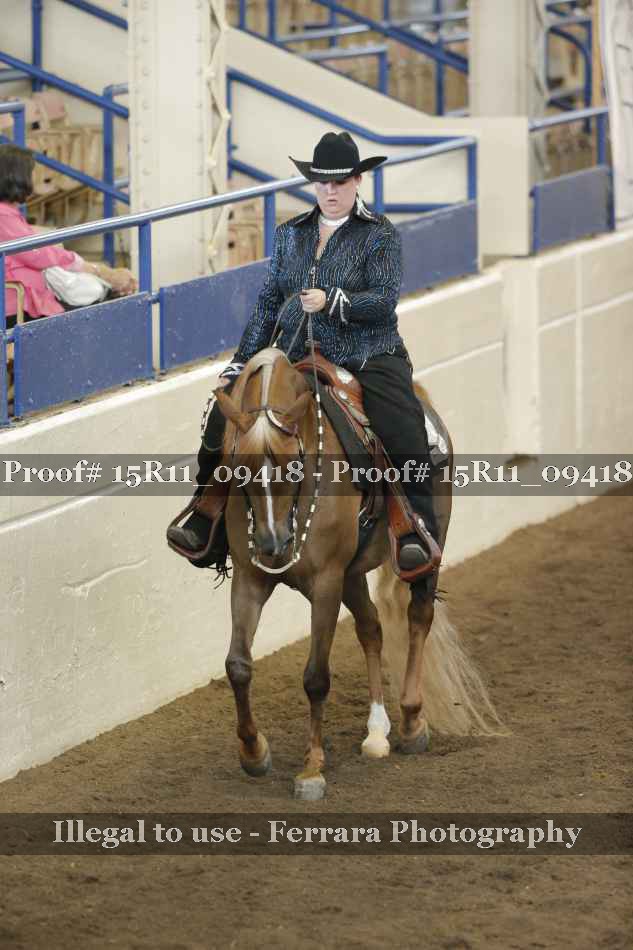 Proof Number 15R11_09418