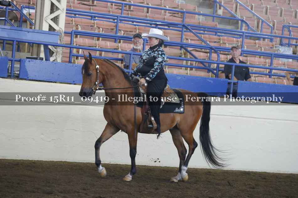 Proof Number 15R11_09419