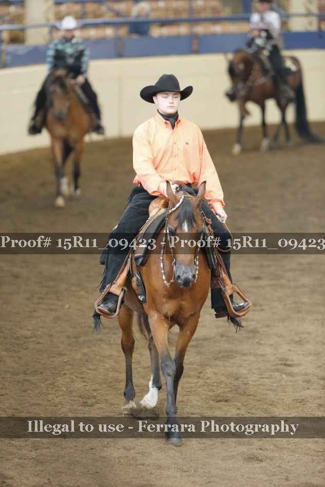 Proof Number 15R11_09423