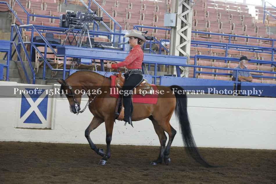 Proof Number 15R11_09426