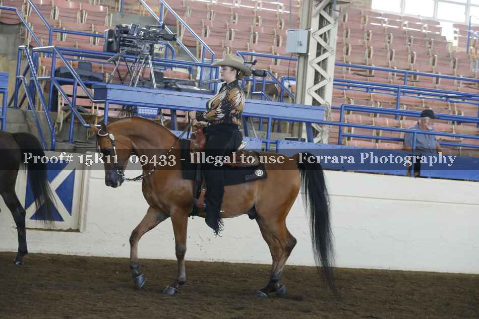 Proof Number 15R11_09433