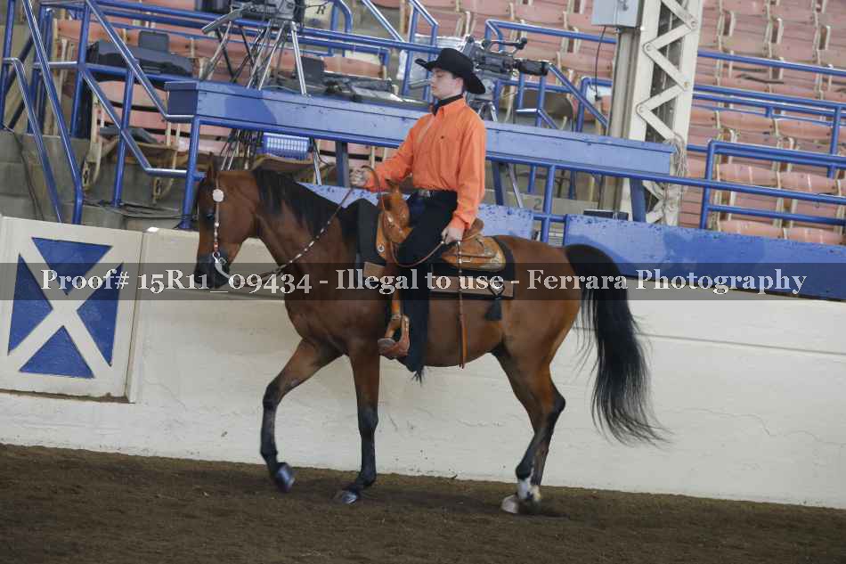 Proof Number 15R11_09434