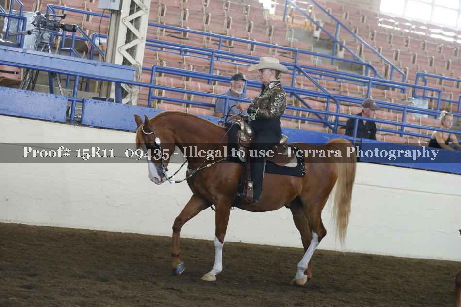 Proof Number 15R11_09435