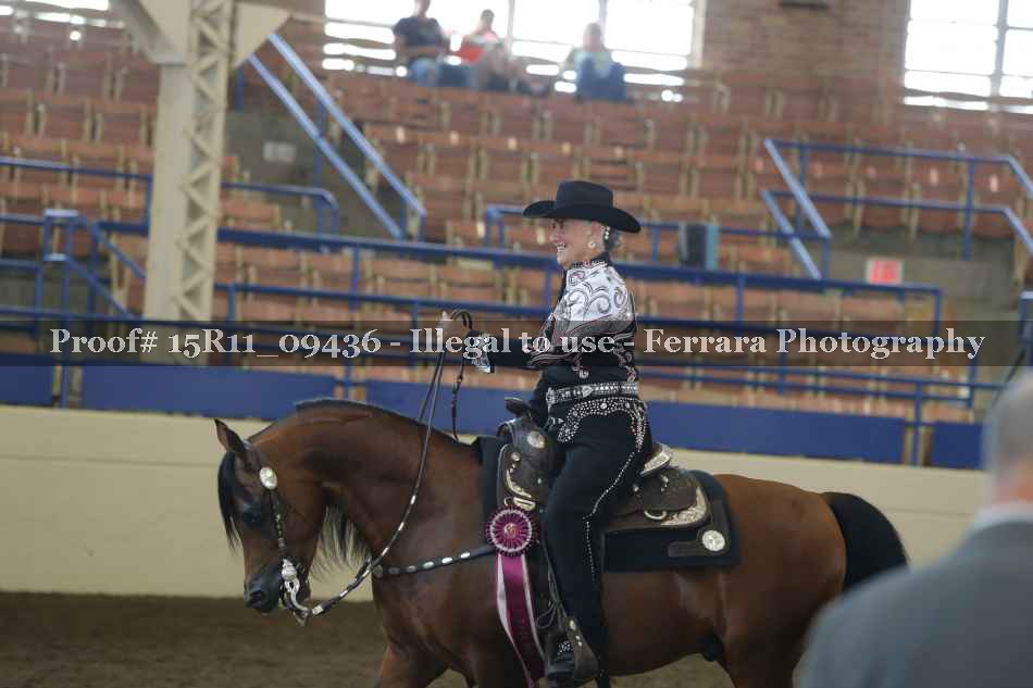 Proof Number 15R11_09436