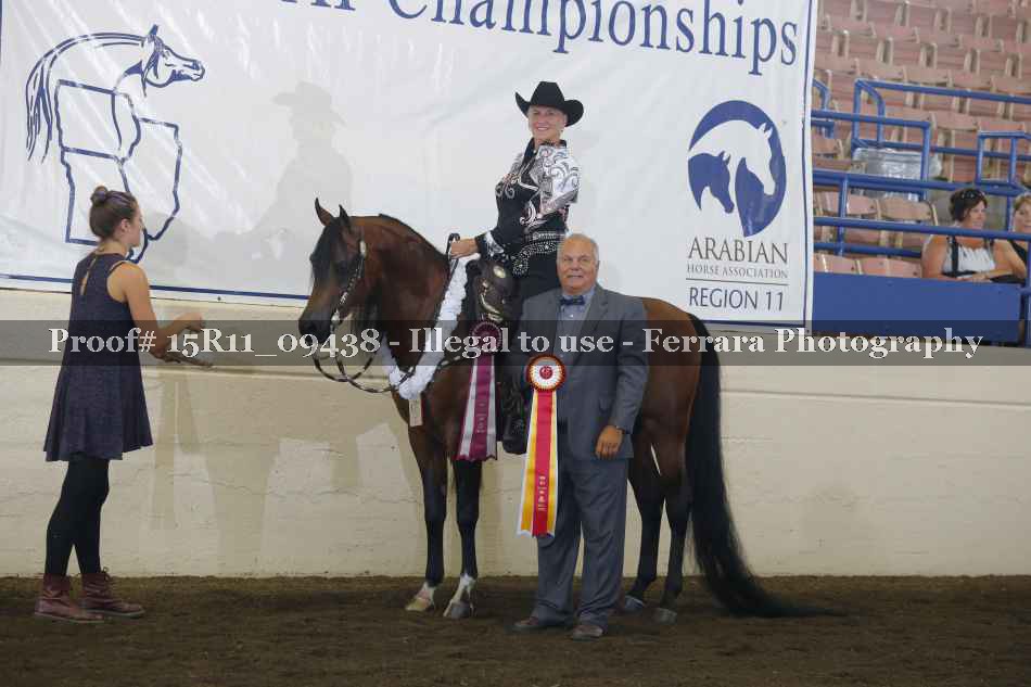 Proof Number 15R11_09438