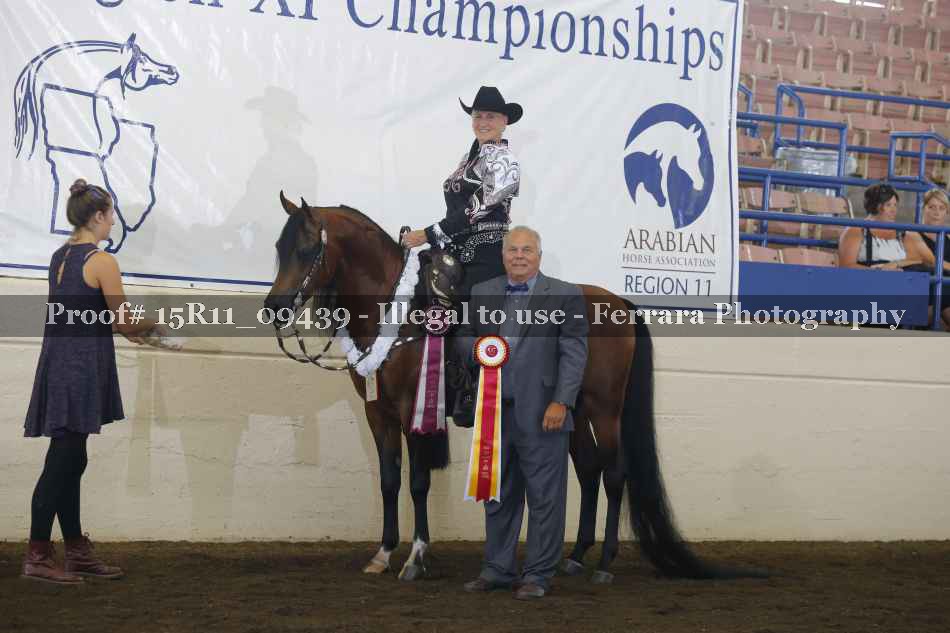 Proof Number 15R11_09439