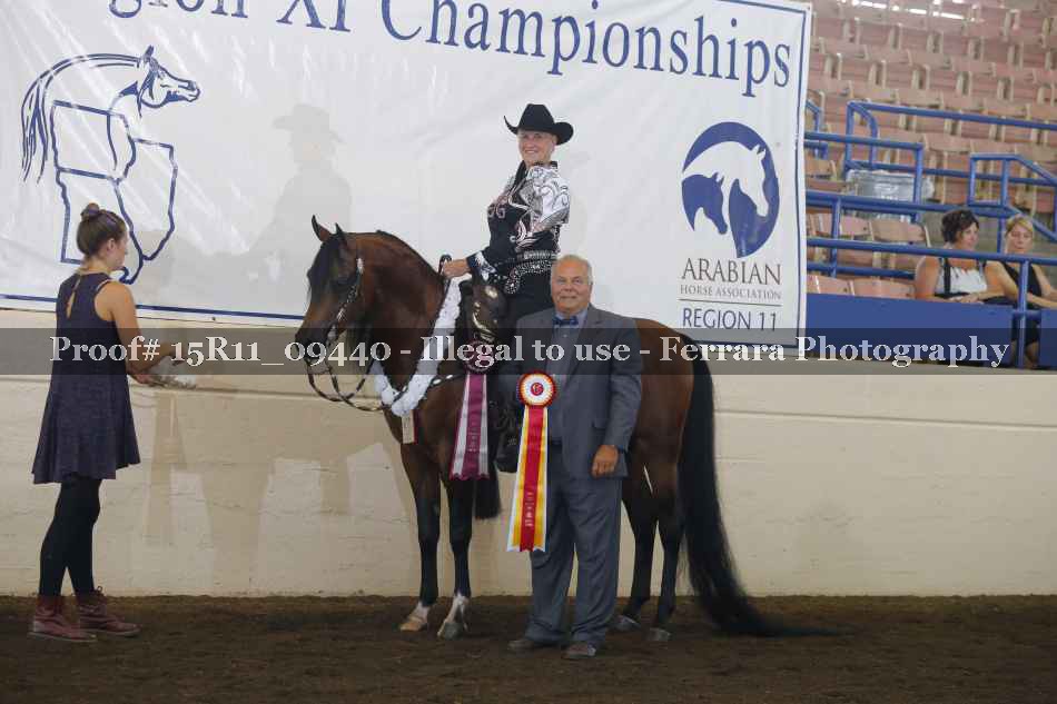 Proof Number 15R11_09440