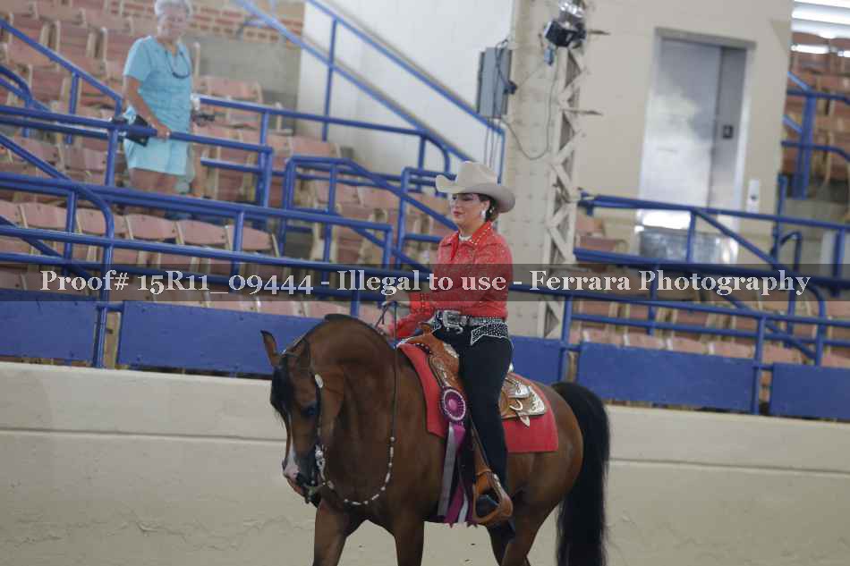Proof Number 15R11_09444