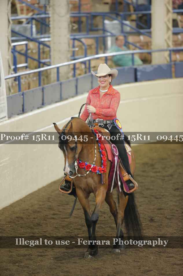 Proof Number 15R11_09445