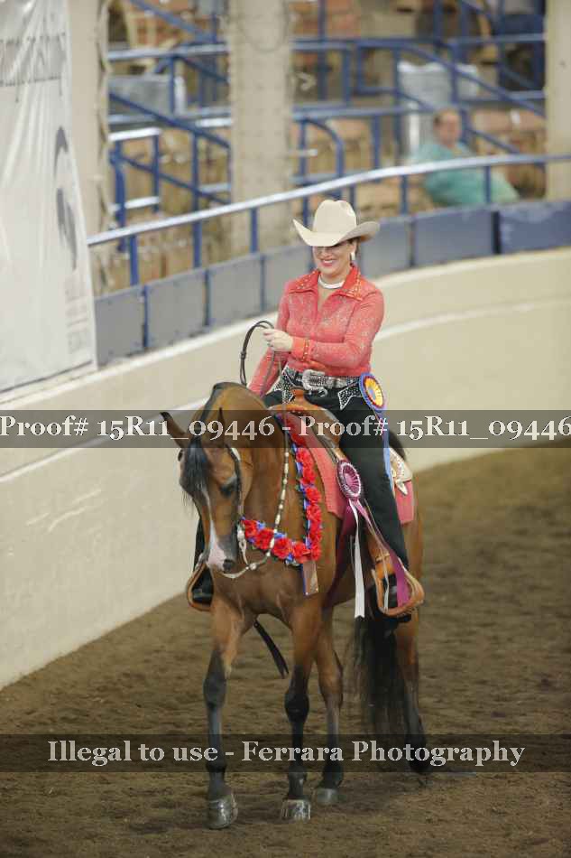 Proof Number 15R11_09446