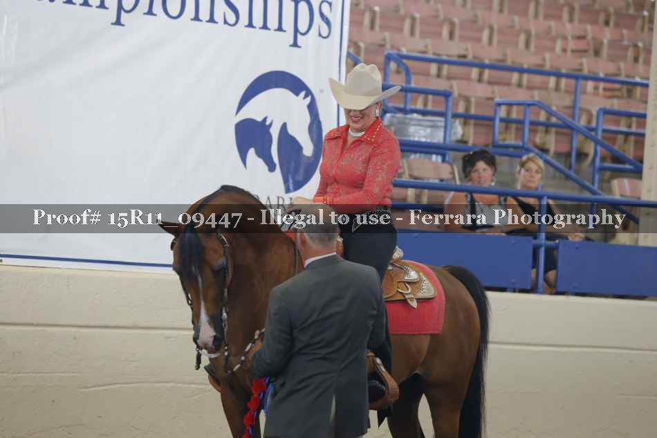 Proof Number 15R11_09447