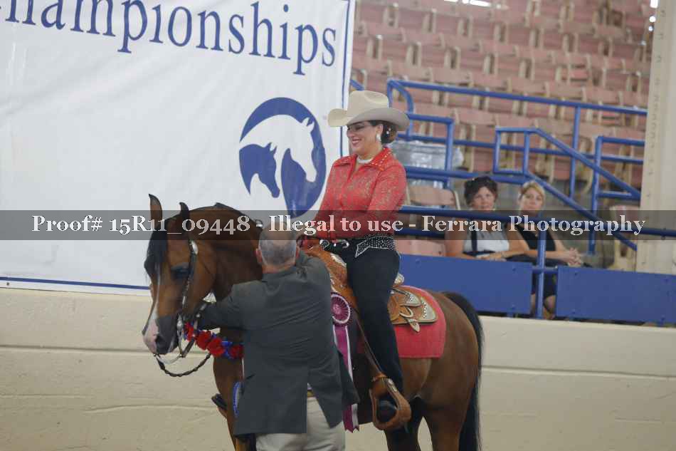 Proof Number 15R11_09448