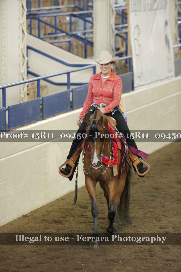 Proof Number 15R11_09450
