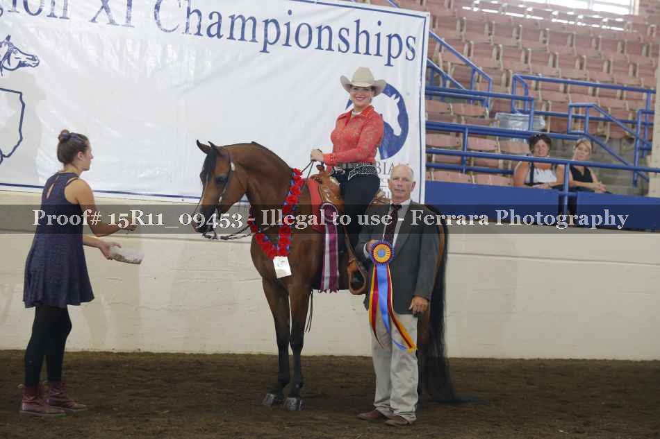 Proof Number 15R11_09453