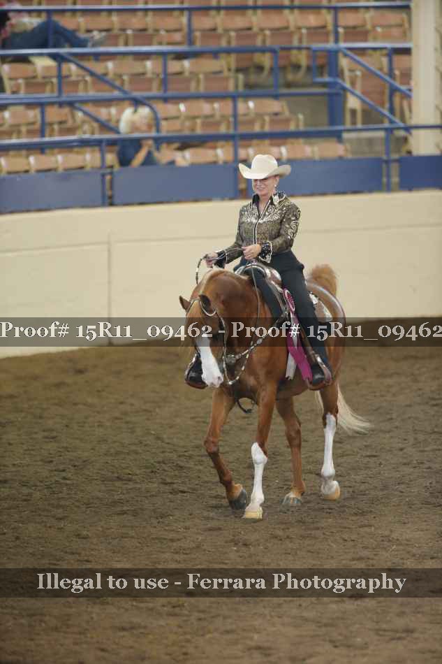 Proof Number 15R11_09462
