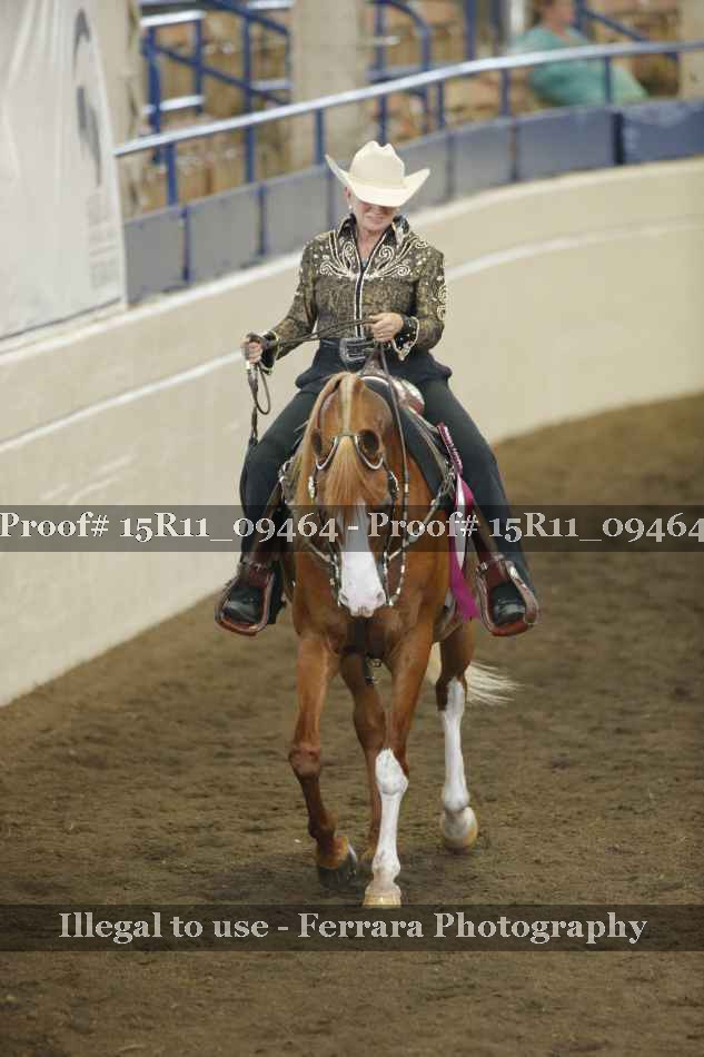Proof Number 15R11_09464