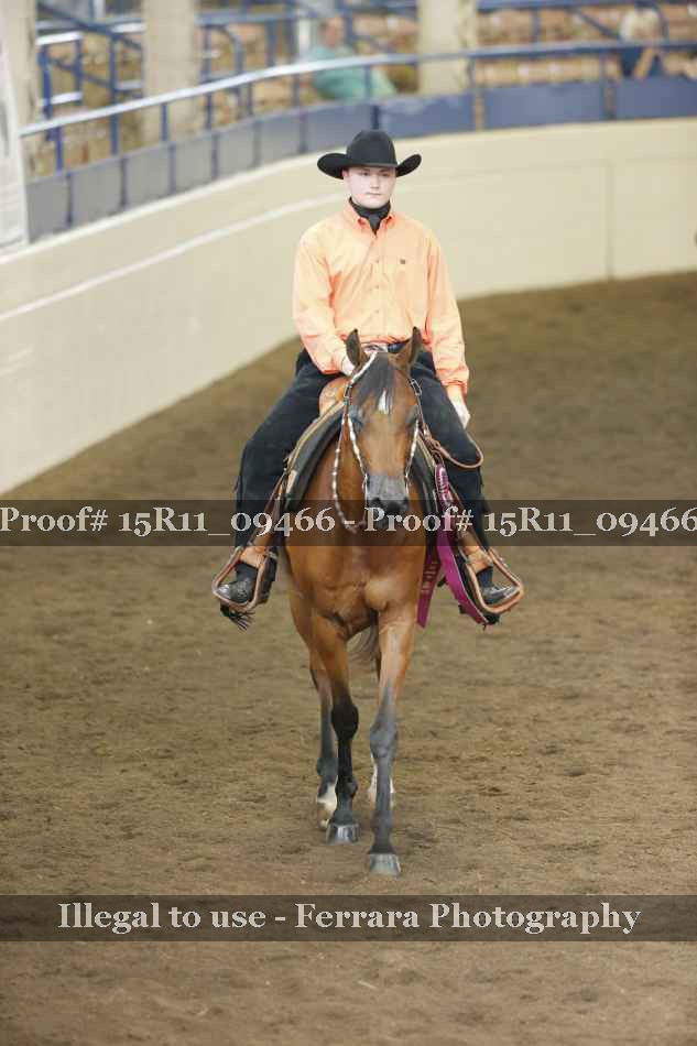 Proof Number 15R11_09466