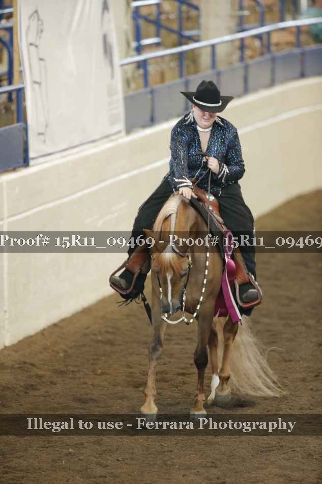 Proof Number 15R11_09469