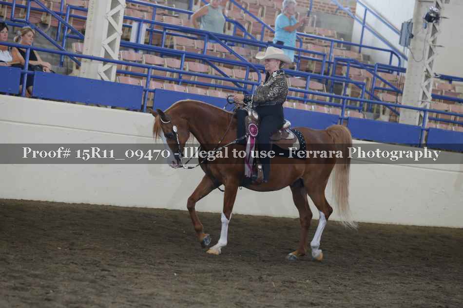 Proof Number 15R11_09470