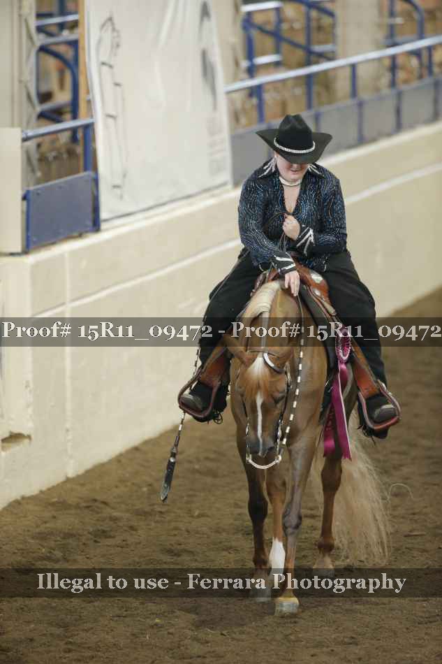 Proof Number 15R11_09472