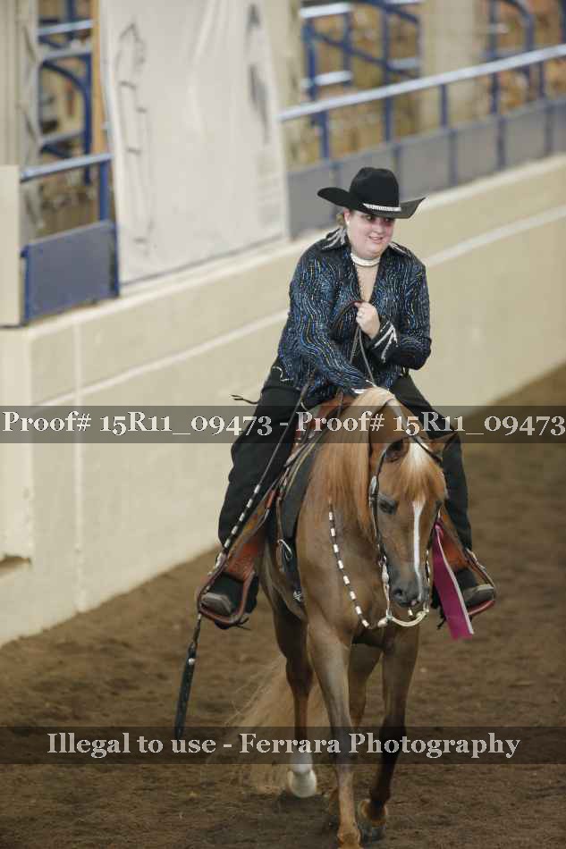 Proof Number 15R11_09473