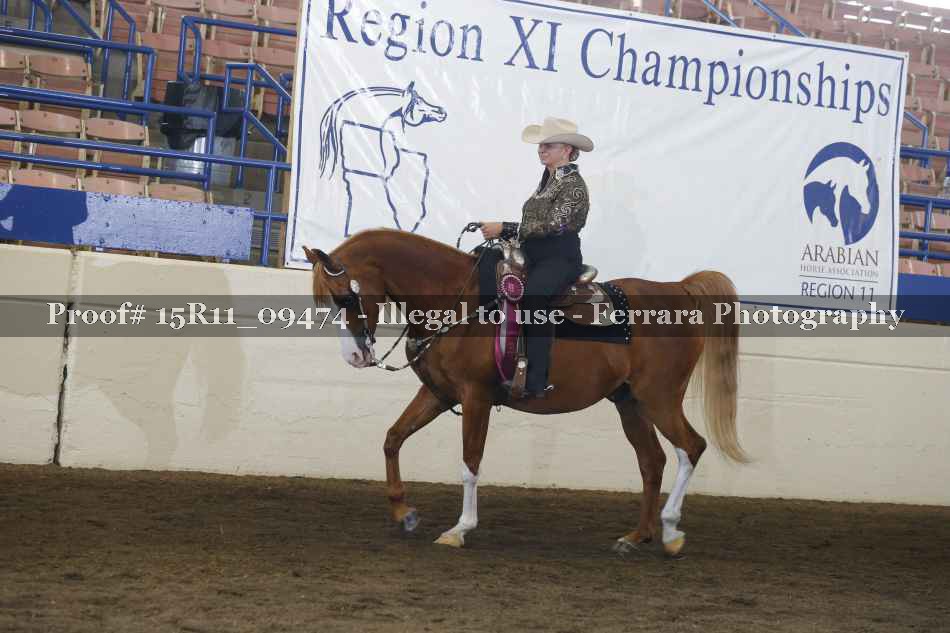 Proof Number 15R11_09474