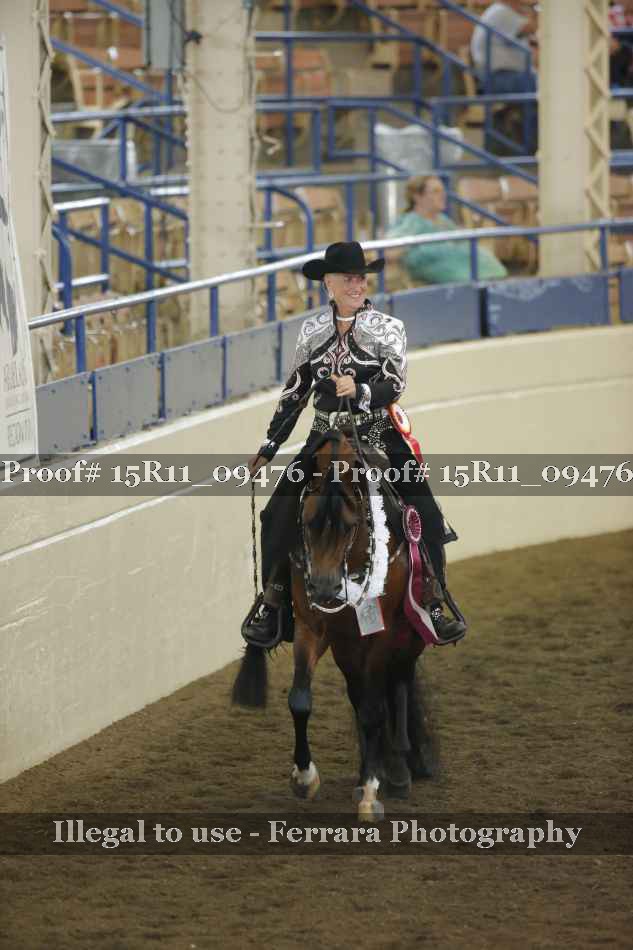 Proof Number 15R11_09476