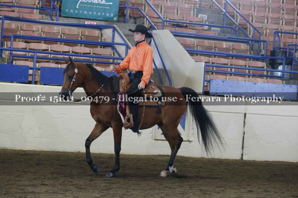 Proof Number 15R11_09479