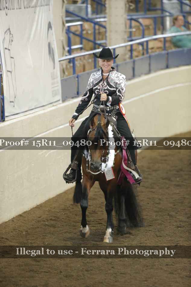 Proof Number 15R11_09480