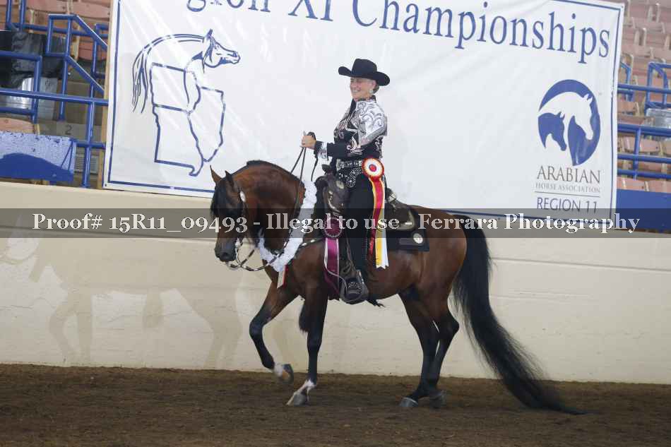 Proof Number 15R11_09493