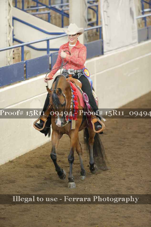 Proof Number 15R11_09494