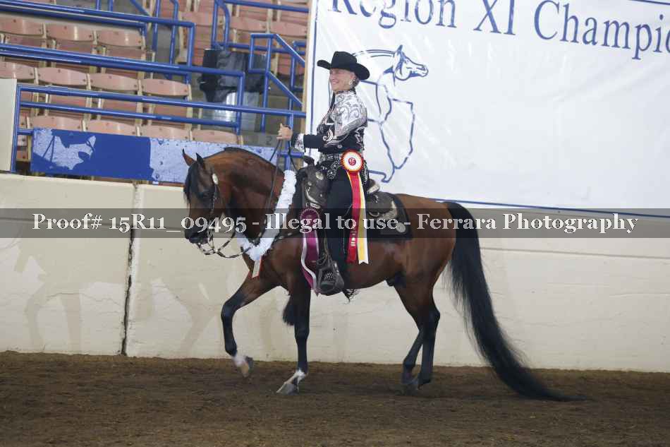 Proof Number 15R11_09495