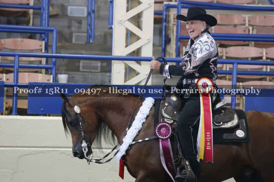 Proof Number 15R11_09497