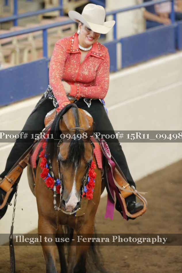 Proof Number 15R11_09498