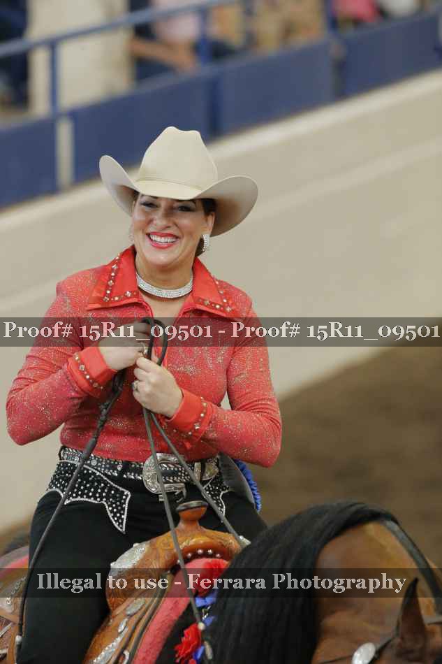 Proof Number 15R11_09501